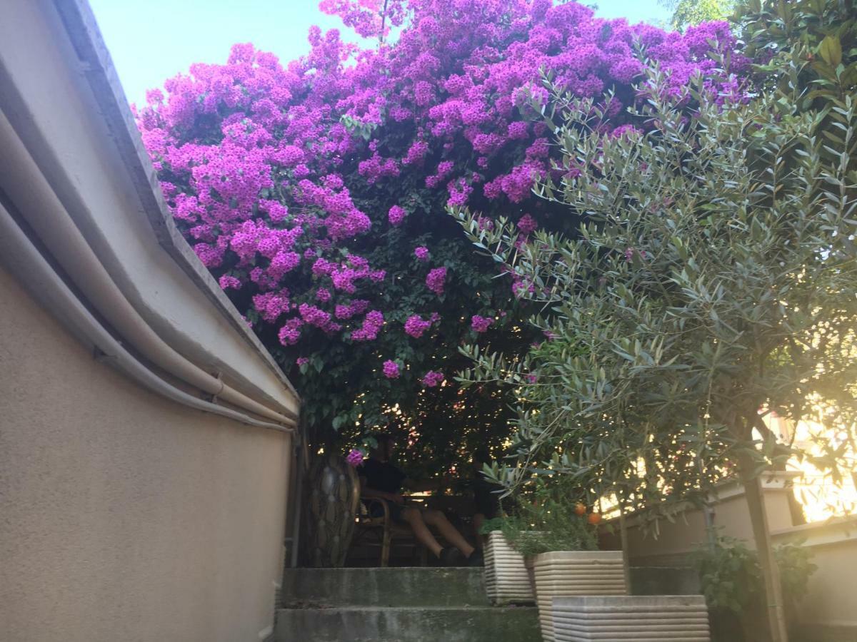 B&B La Bougainvillea Andria Extérieur photo